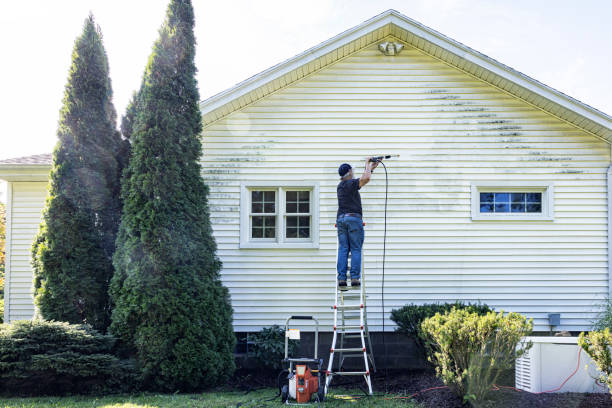Best Gutter Cleaning  in Cricket, NC